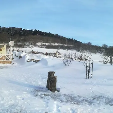 Ferienhaus Sonnenschein Holiday home