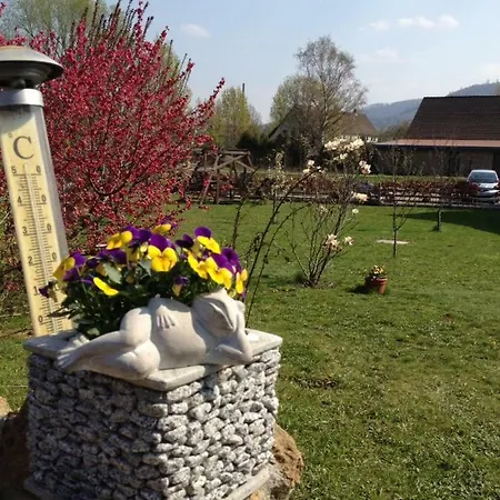 Ferienhaus Sonnenschein *