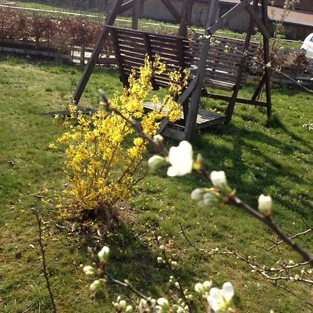 Ferienhaus Sonnenschein * Goslar